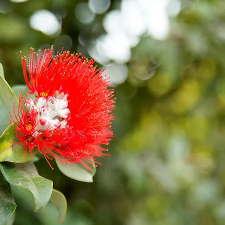 Alloggio per agriturismo Il Contadino