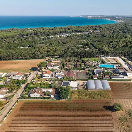 Il Contadino - Agriturismo In Salento Dal 1987