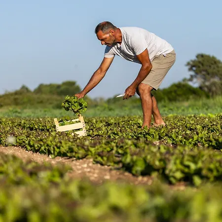 Farm stay Il Contadino - In Salento Dal 1987 *