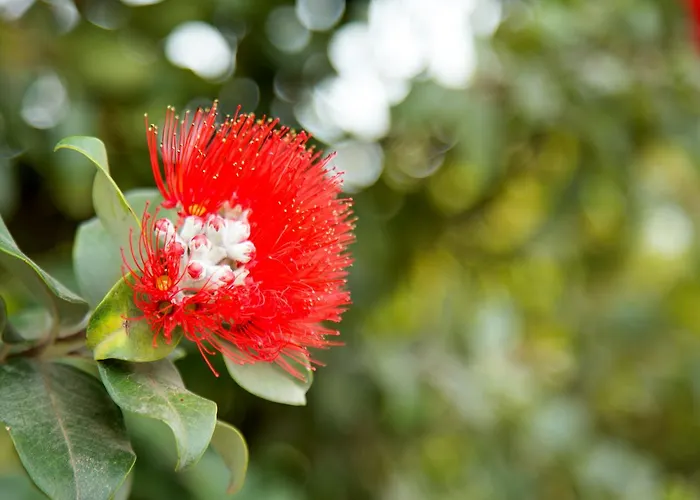 팜스테이 Il Contadino